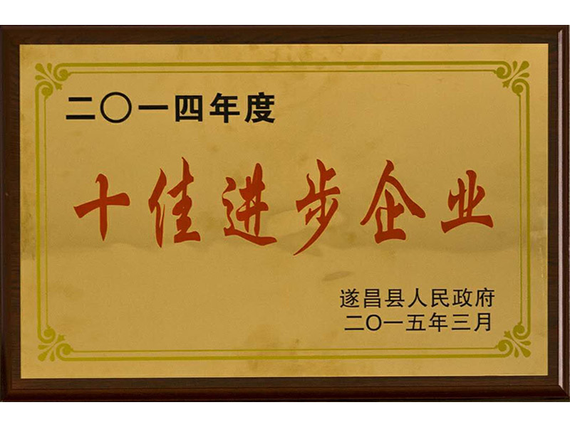 大金莊2014年度十佳進步企業(yè)