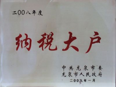 2008年納稅大戶