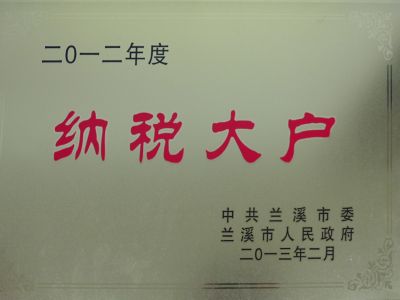 2012年蘭溪納稅大戶